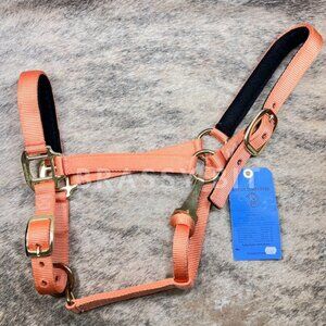 Heavy Duty Horse Halter